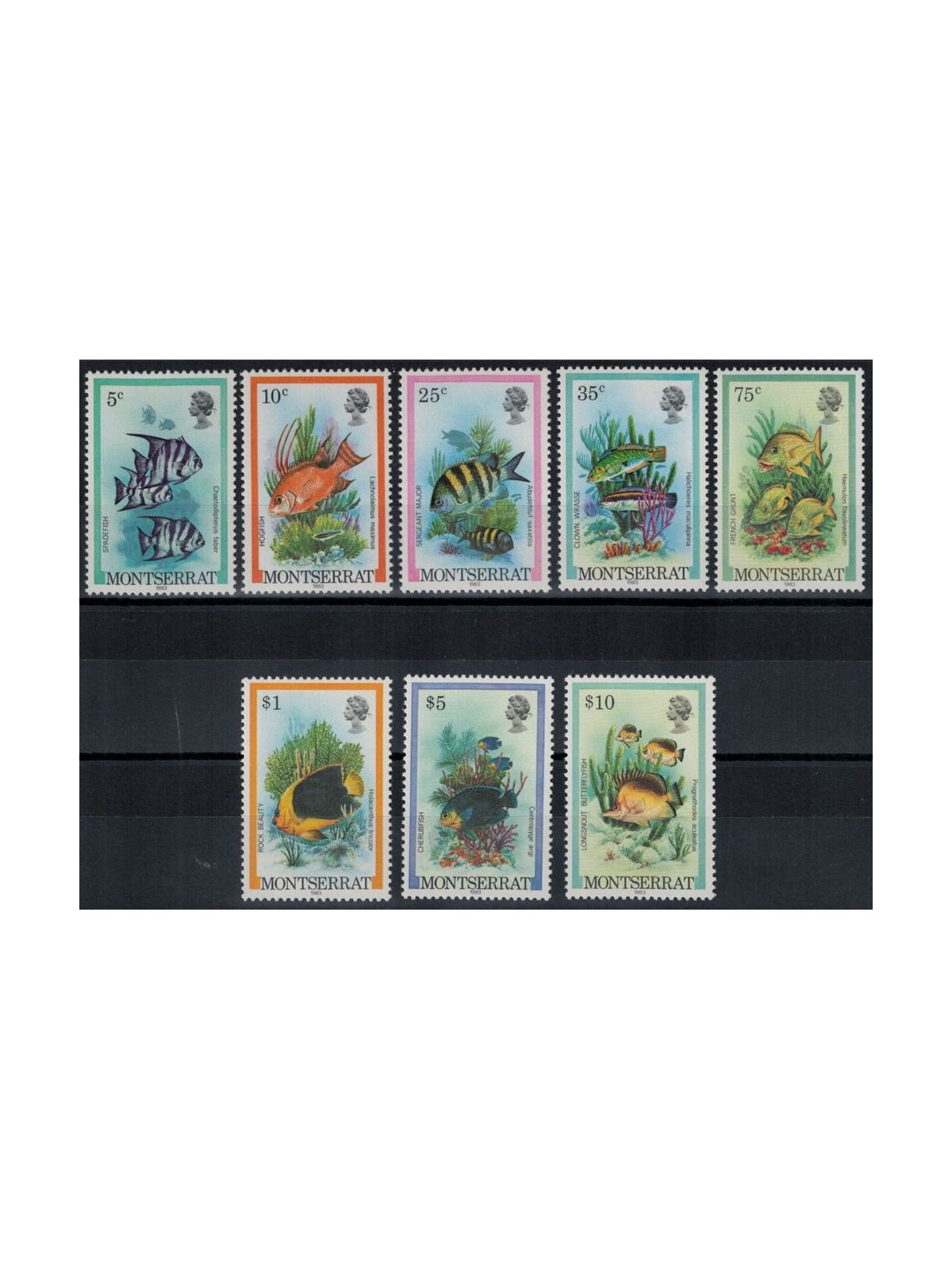 MONTSERRAT 1983 Marine fauna, fish 8v MNH**