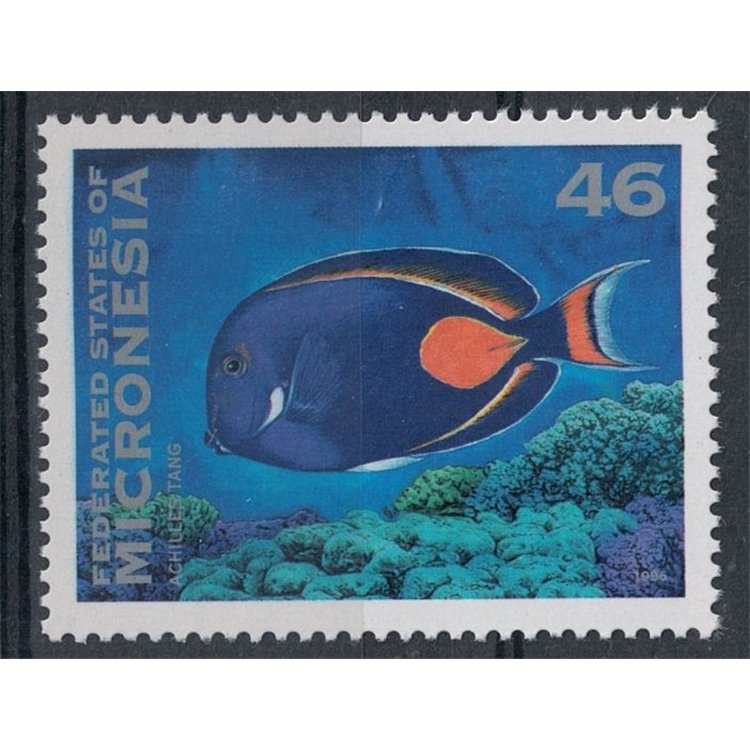 MICRONESIA 1996 Fauna marina, pesci MNH**
