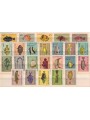 MOZAMBICO 1951 Serie ordinaria, pesci 24v MNH**