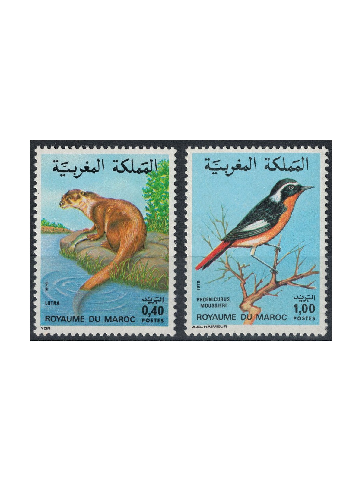 MOROCCO 1979 Moroccan fauna, mammals and birds 2v MNH**
