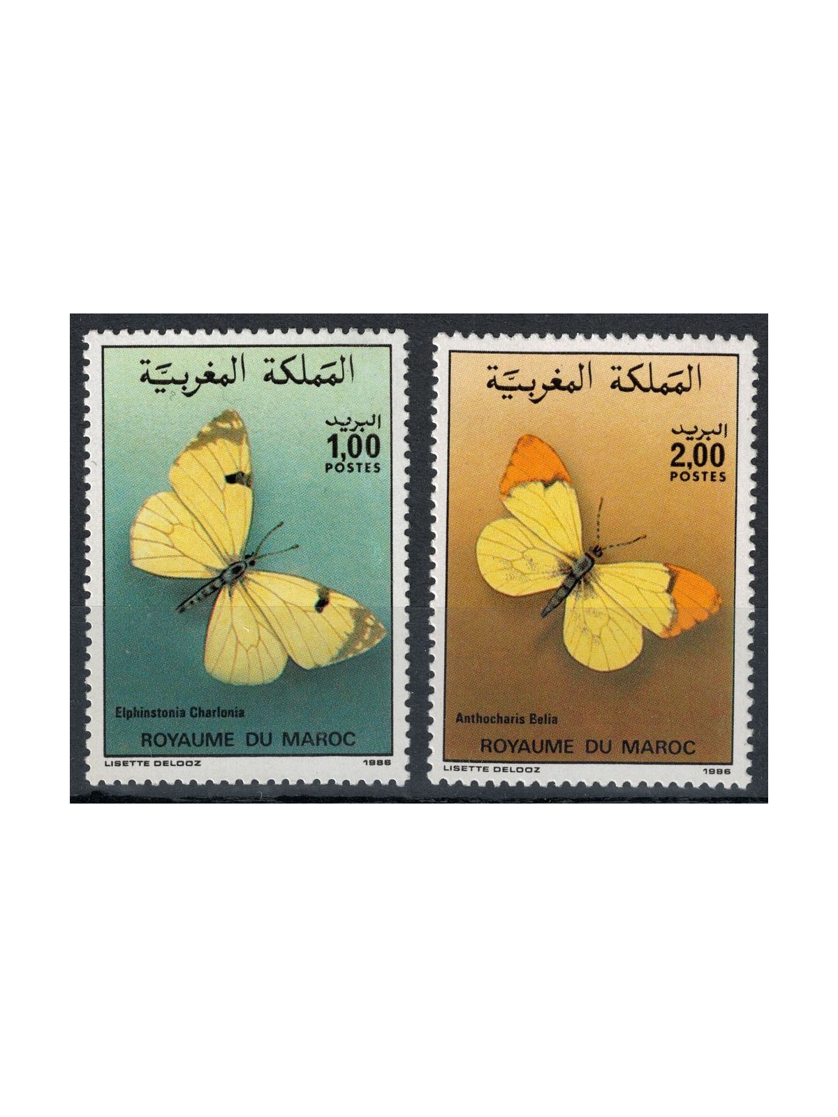 MAROCCO 1979 Fauna marocchina, farfalle 2v MNH**