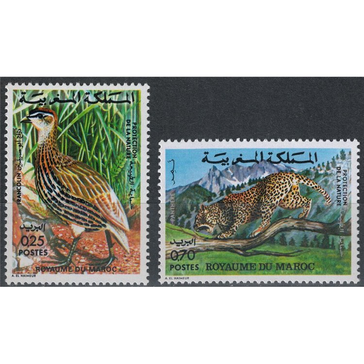 MOROCCO 1974 Moroccan fauna, nature protection 2v MNH**