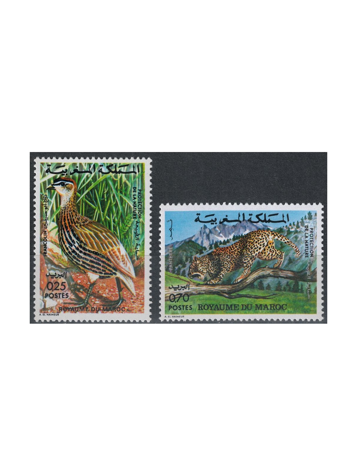 MOROCCO 1974 Moroccan fauna, nature protection 2v MNH**
