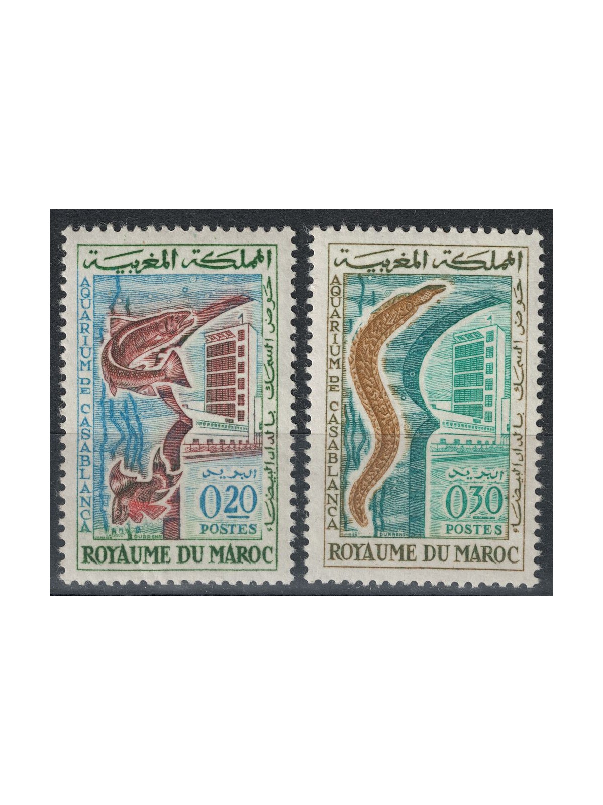 MOROCCO 1962 Casablanca Aquarium 2v MNH**