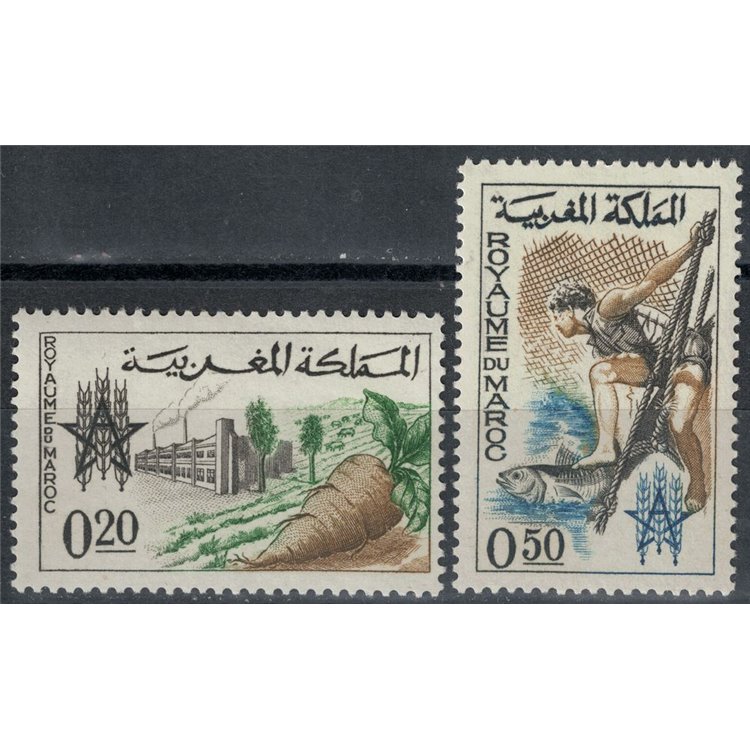 MAROCCO 1963 Campagna contro la fame 2v MNH**
