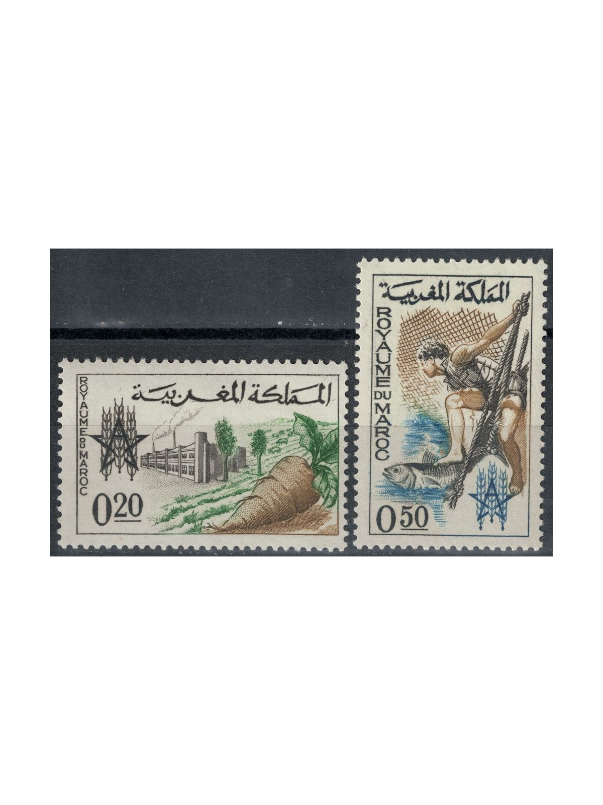 MOROCCO 1963 Campaign against hunger 2v MNH**