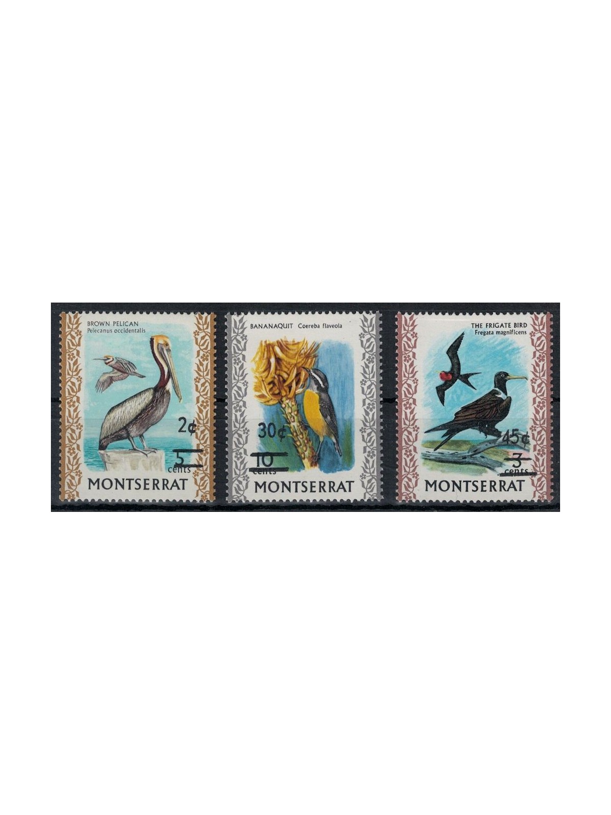 MONTSERRAT 1976 Ordinary series, birds 3v MNH**