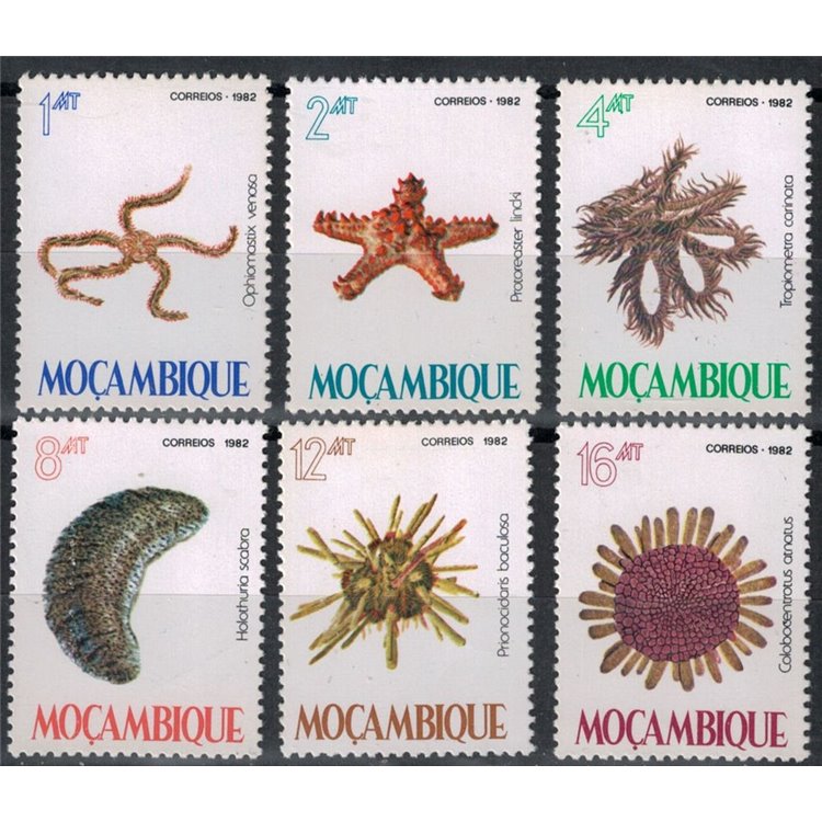 MOZAMBIQUE 1982 Marine fauna, echinoderms 6v MNH**