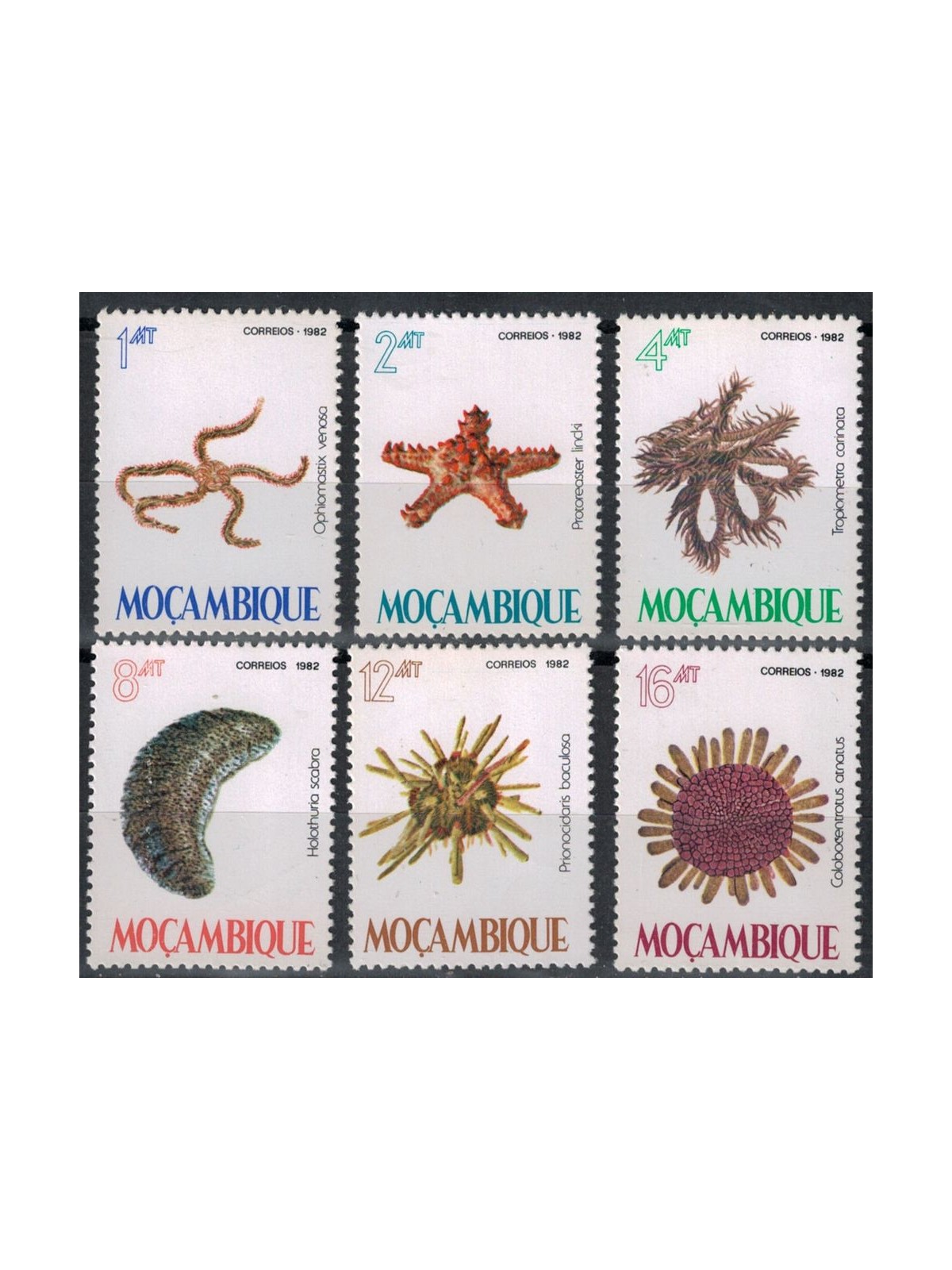 MOZAMBIQUE 1982 Marine fauna, echinoderms 6v MNH**