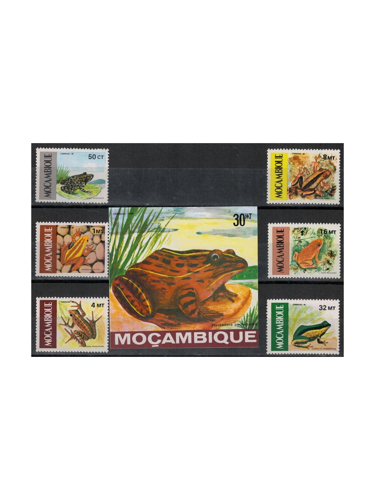 MOZAMBIQUE 1985 Fauna, frogs 6v + 1 s/s MNH**