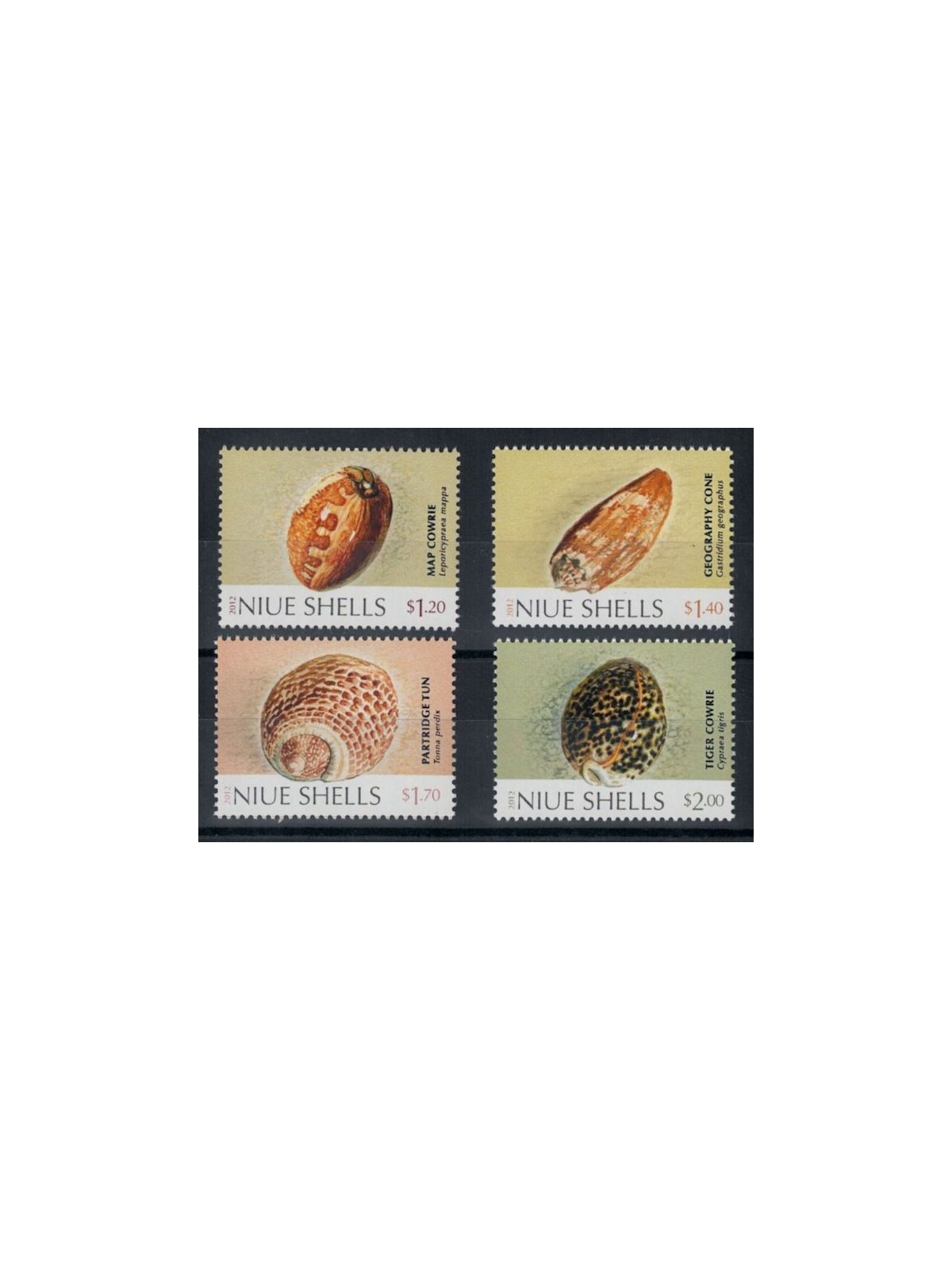 NIUE 2012 Conchiglie - Shells 4 v