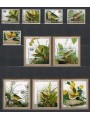 NIUE 1985 John James Audubon, uccelli 5v + 5 BF MNH**