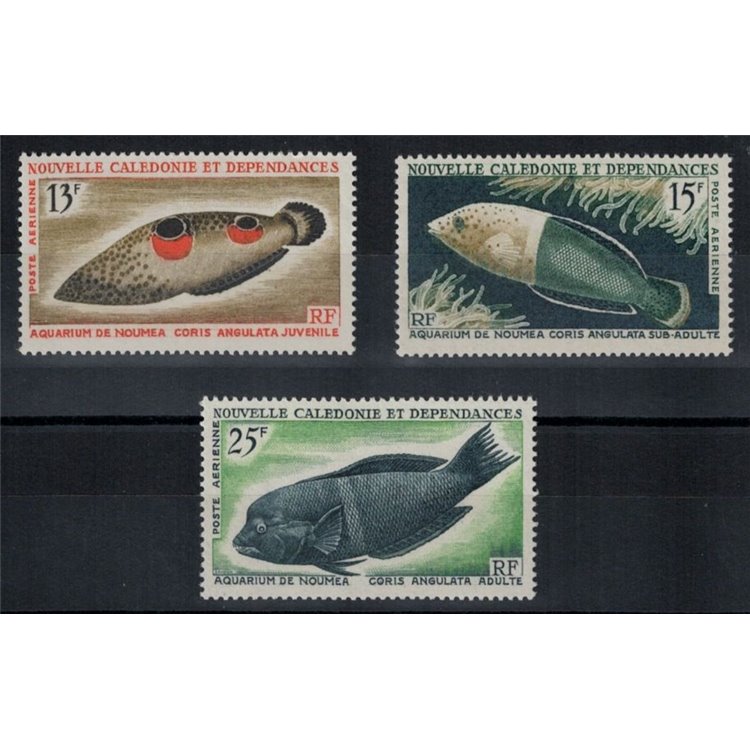 NEW CALEDONIA 1965 Marine fauna, fish 3v MNH**