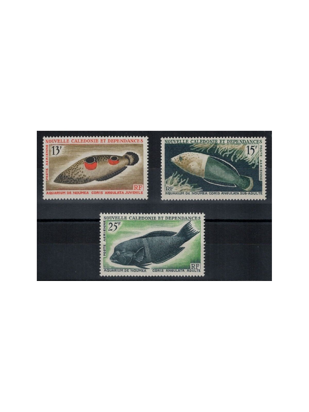 NEW CALEDONIA 1965 Marine fauna, fish 3v MNH**