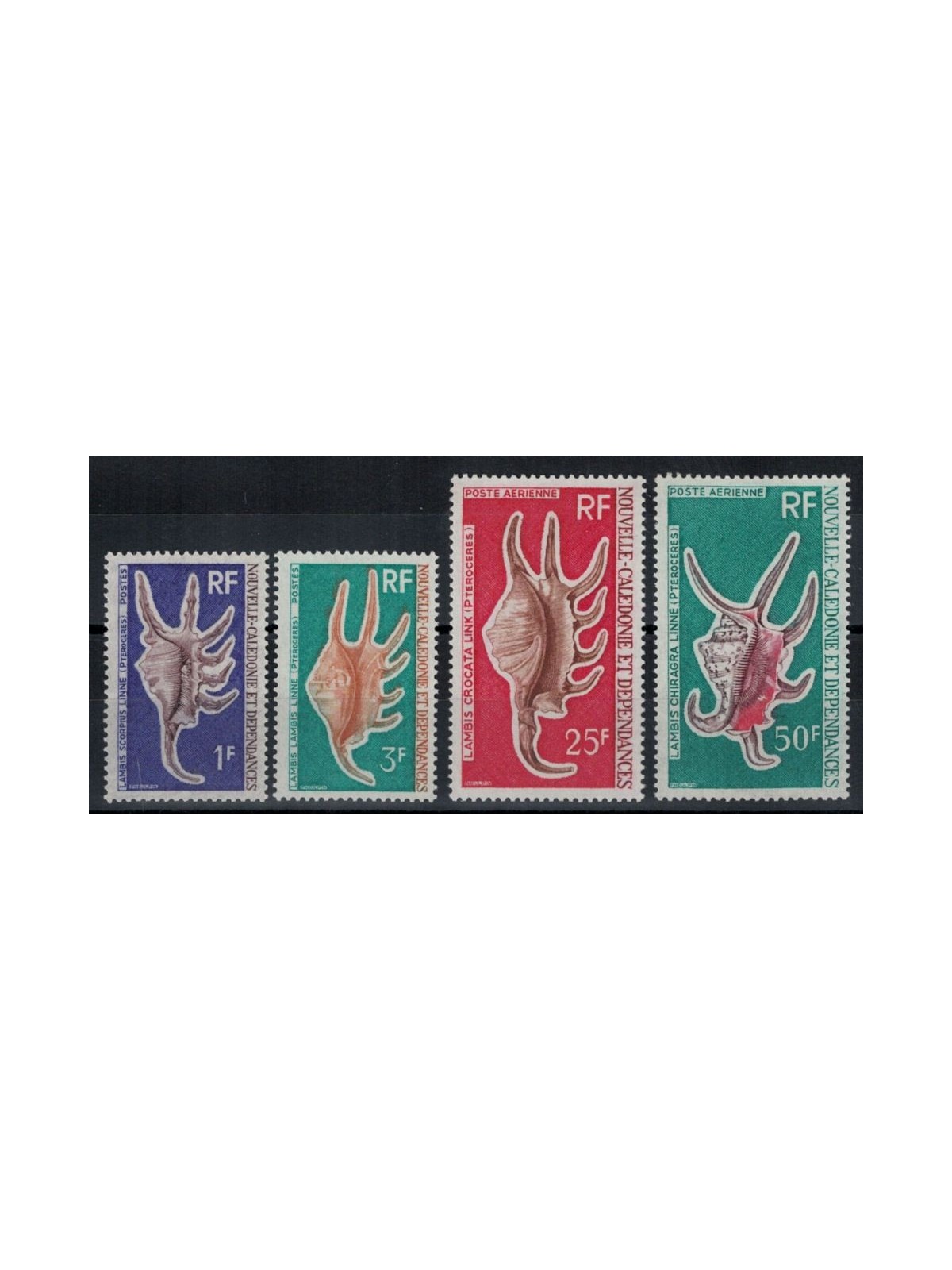 NUOVA CALEDONIA 1972 Conchiglie 4v MNH**