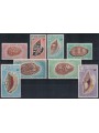 NUOVA CALEDONIA 1970-71 Conchiglie 8v MNH**