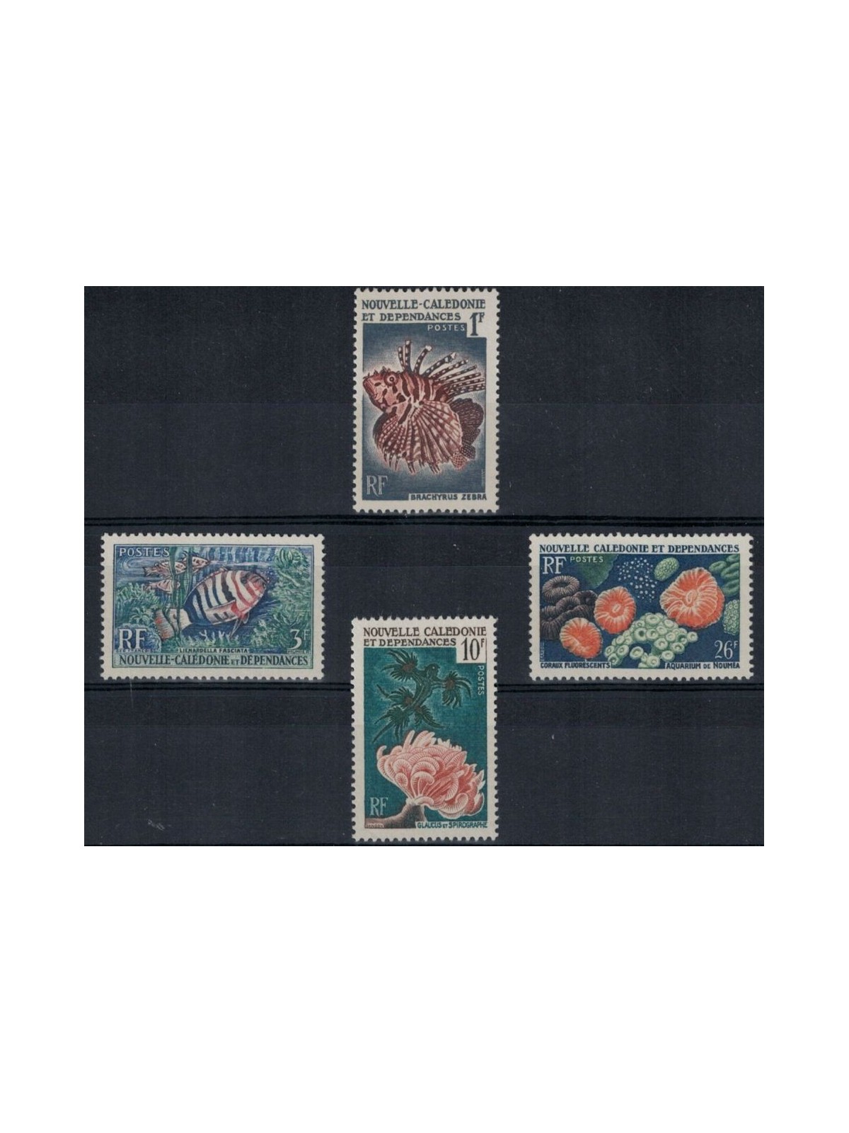 NEW CALEDONIA 1959 Marine Fauna 4v MNH**