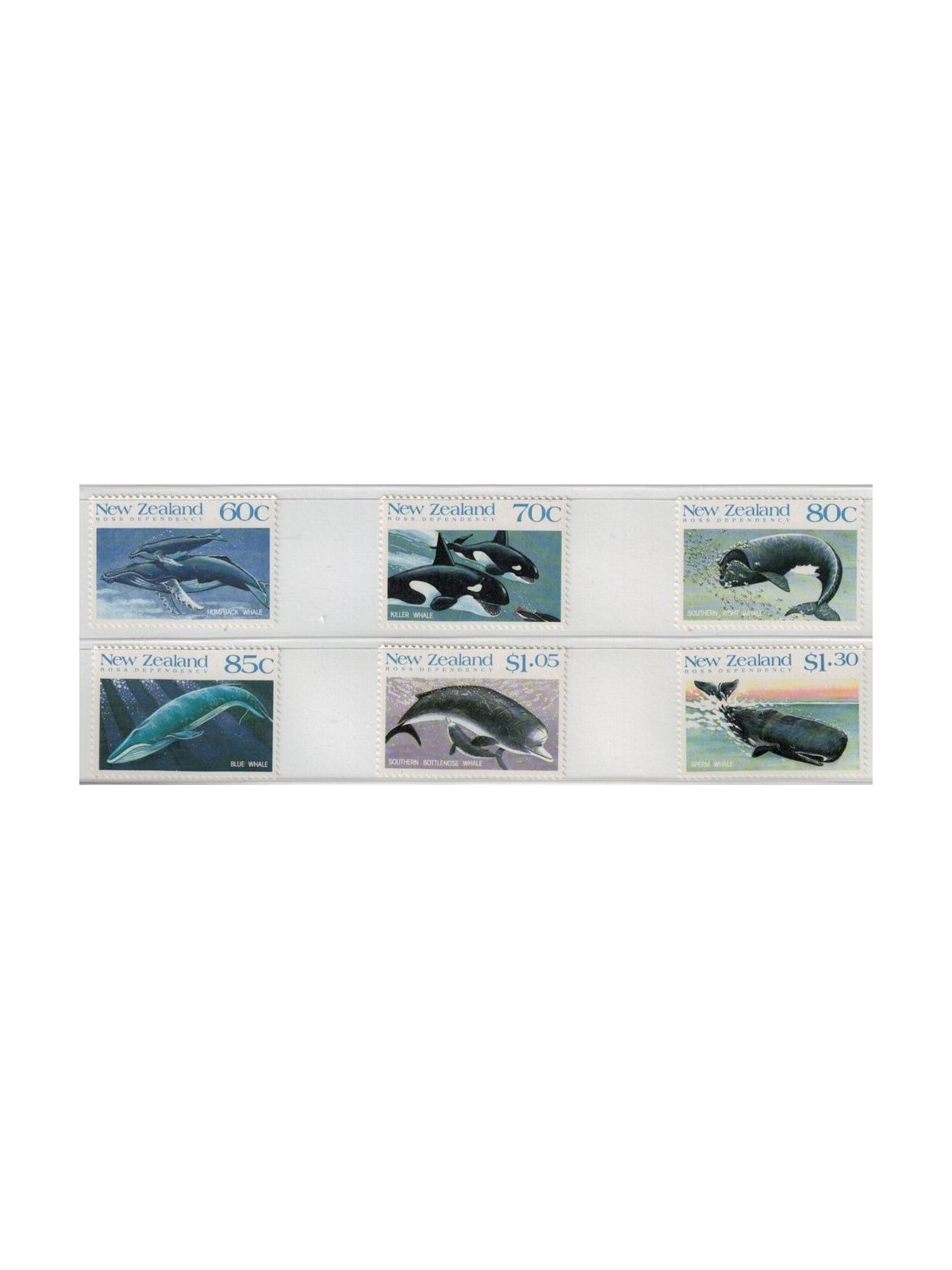 NUOVA ZELANDA - ROSS 1988 Mammiferi marini 6v MNH**