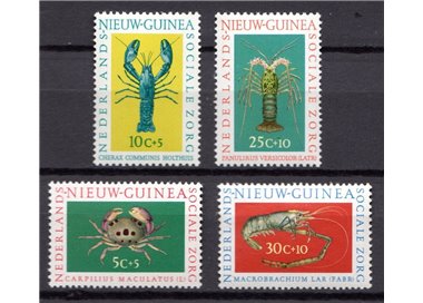 NETHERLANDS NEW GUINEA 1962 Pro charity works, shellfish 4v MNH**