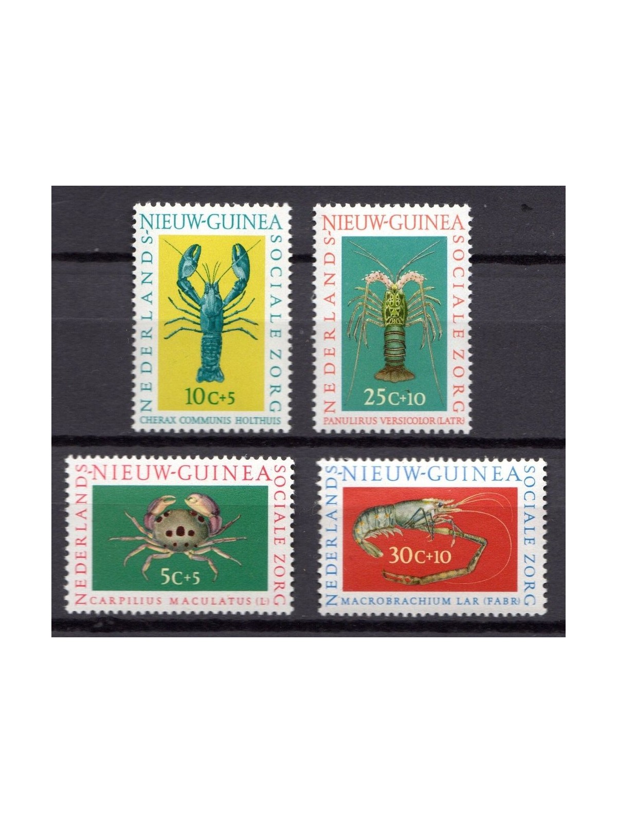 NETHERLANDS NEW GUINEA 1962 Pro charity works, shellfish 4v MNH**