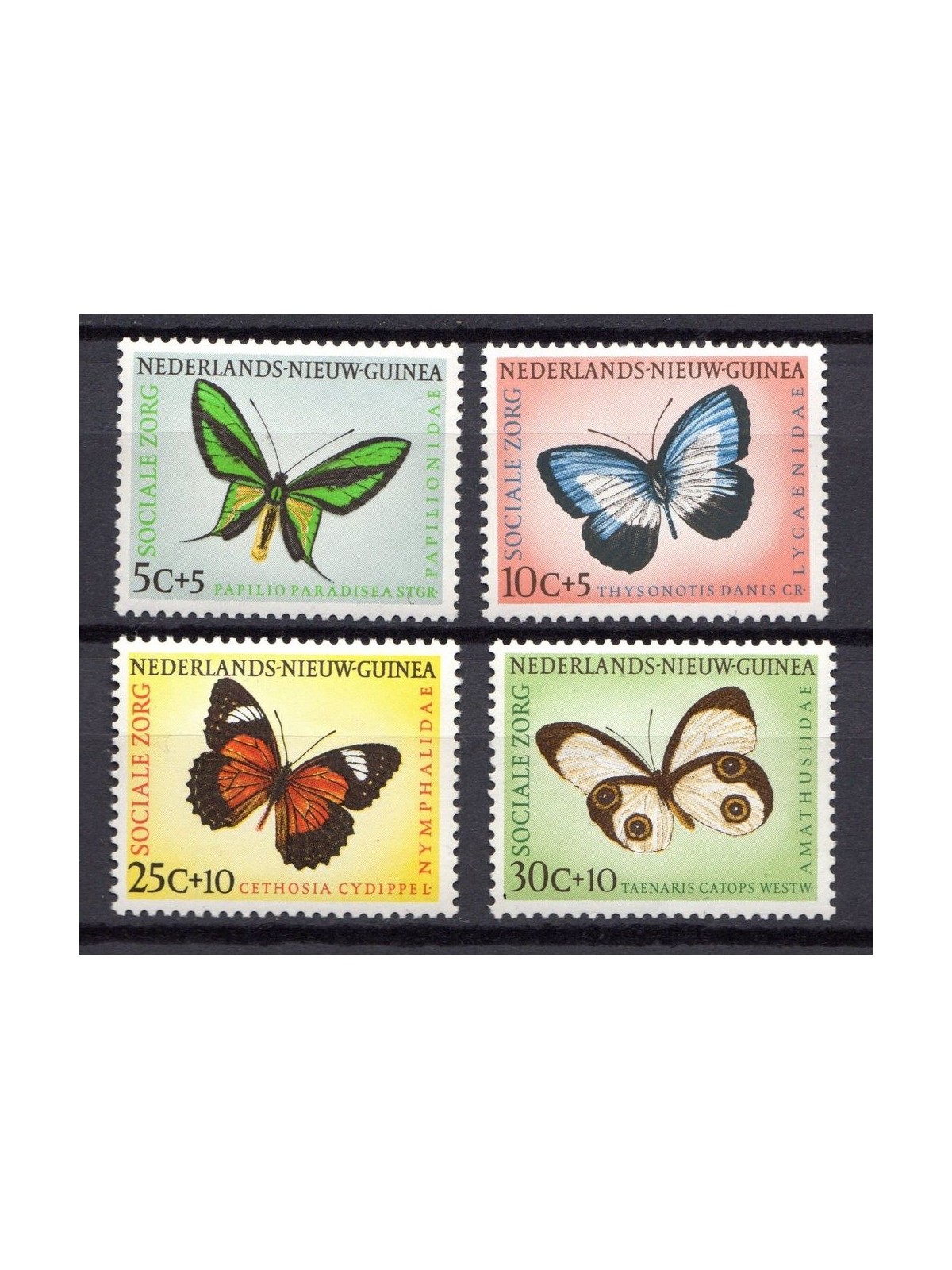 NUOVA GUINEA OLANDESE 1960 Pro Aide, farfalle 4v MNH**