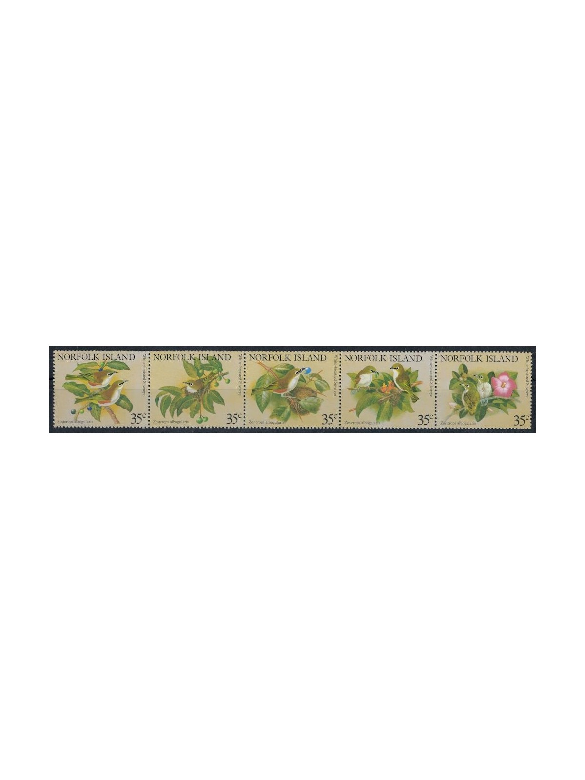 NORFOLK 1981 Fauna, uccelli 5v MNH**