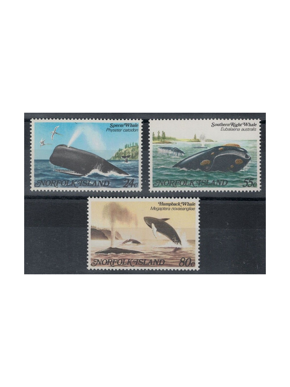 NORFOLK 1982 Marine fauna, whales 3v MNH**