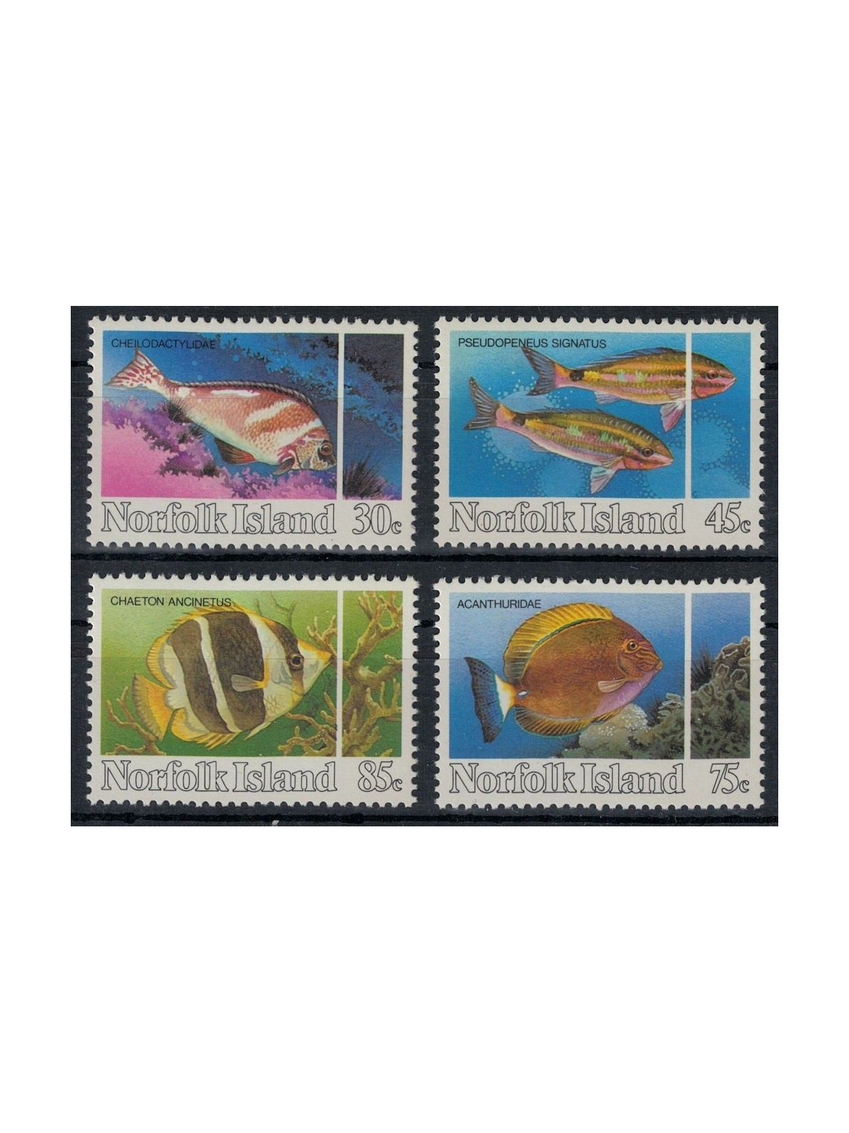 NORFOLK 1984 Marine fauna, fish 4v MNH**