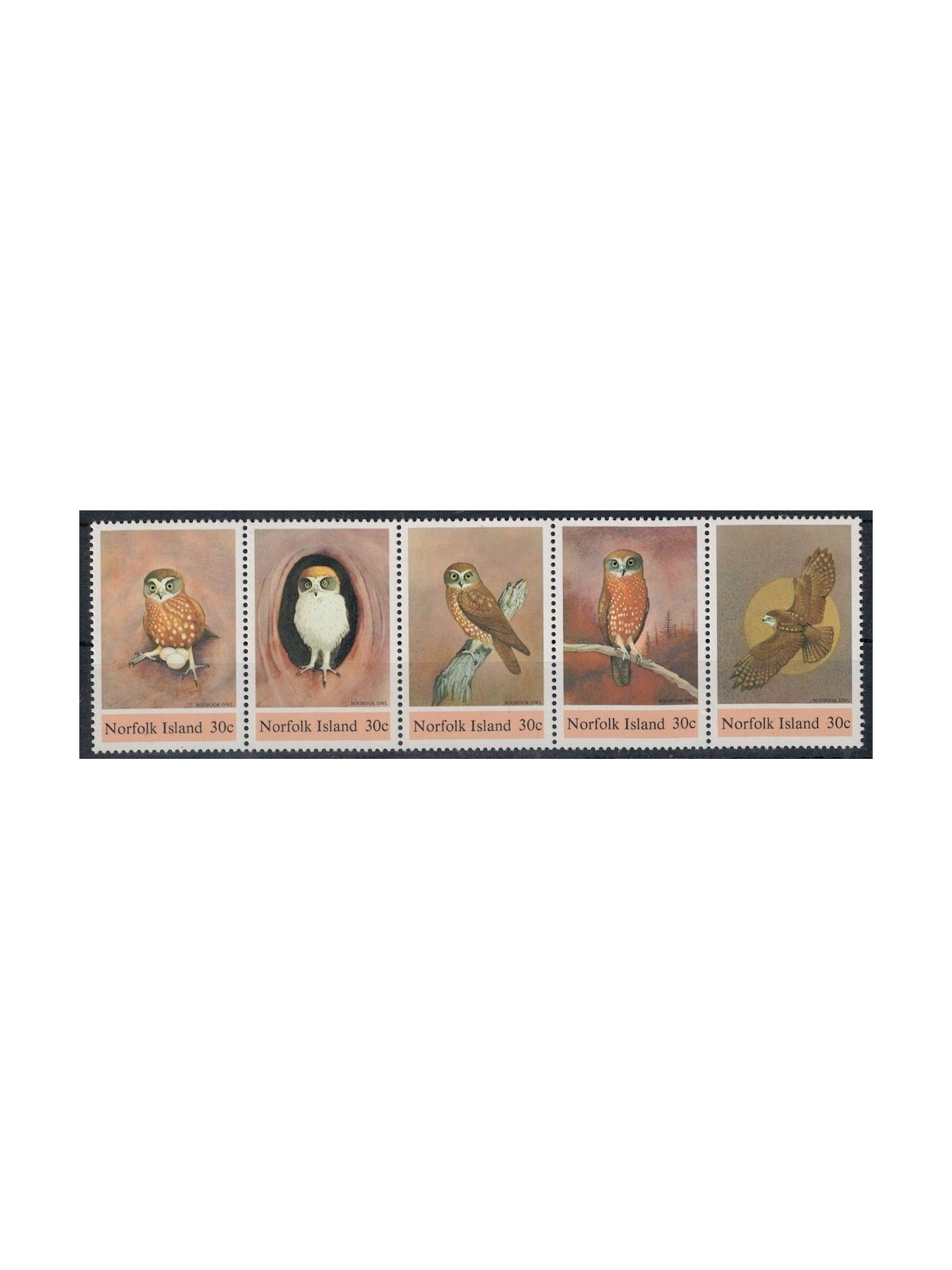 NORFOLK 1984 Fauna, nocturnal birds 5v MNH**