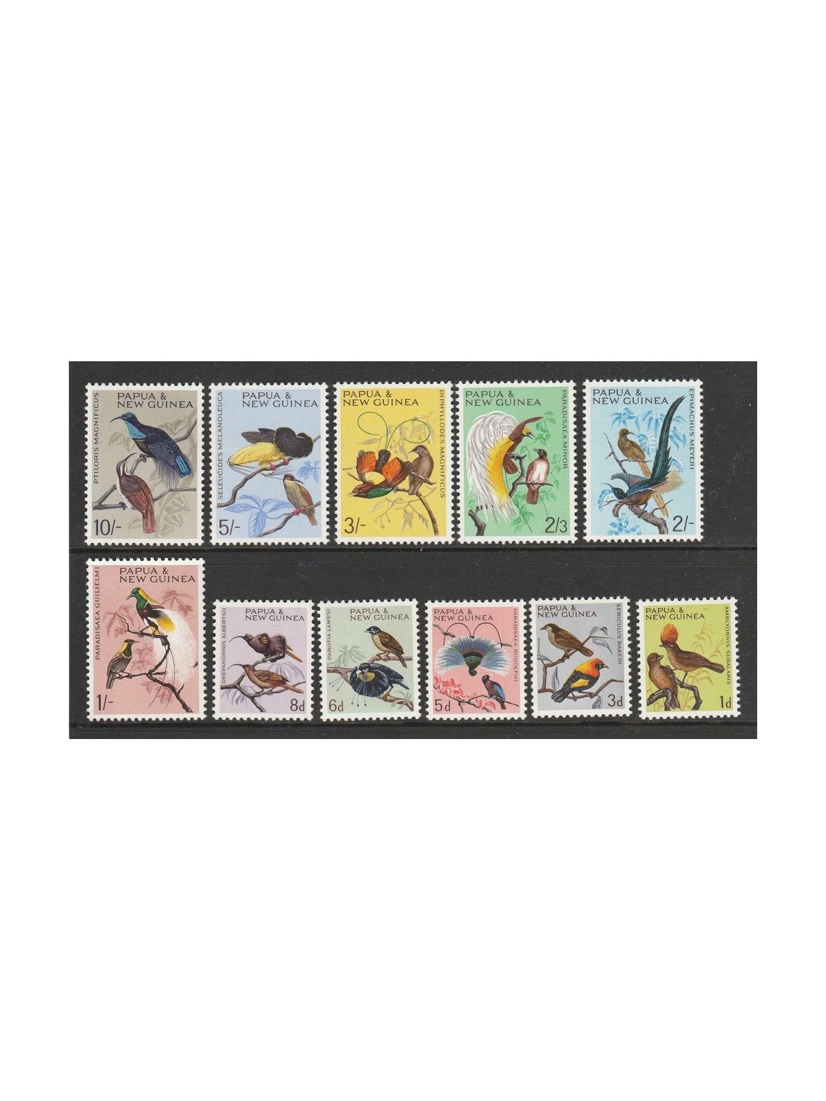 PAPUA NEW GUINEA 1964 Ordinary set, birds - Birds 11v MNH**