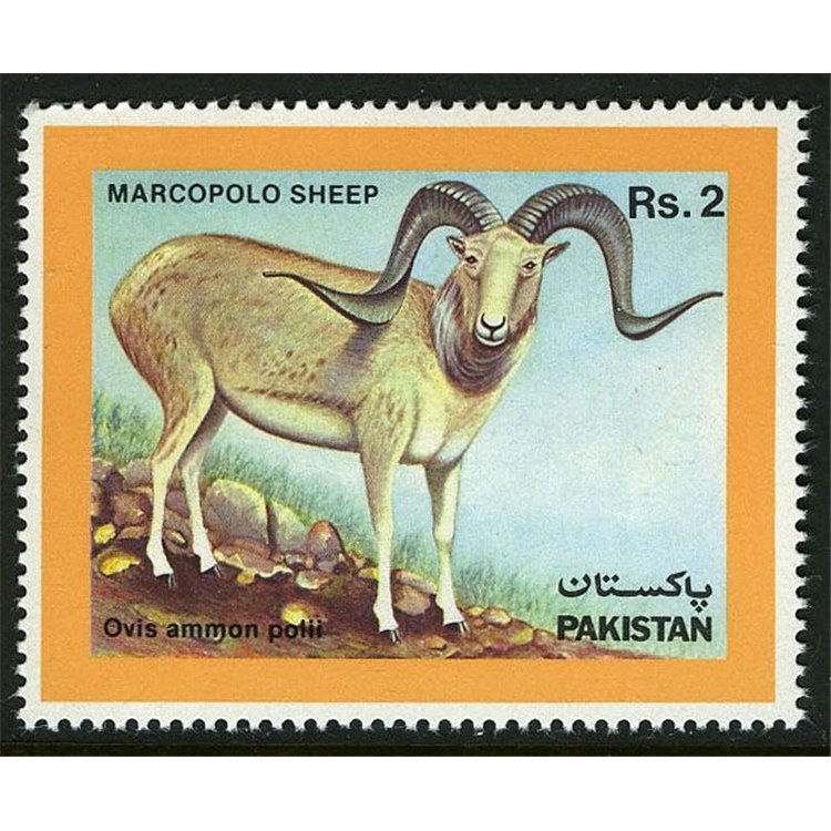 PAKISTAN 1986 Marco Polo's Sheep 1v MNH**