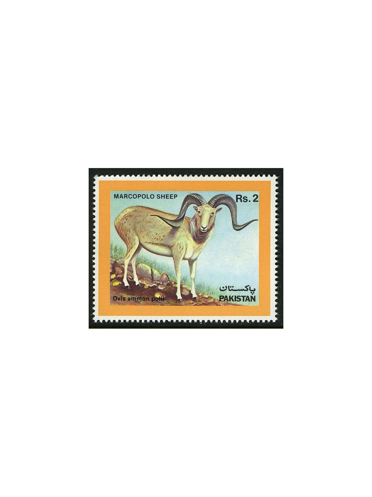 PAKISTAN 1986 Marco Polo's Sheep 1v MNH**