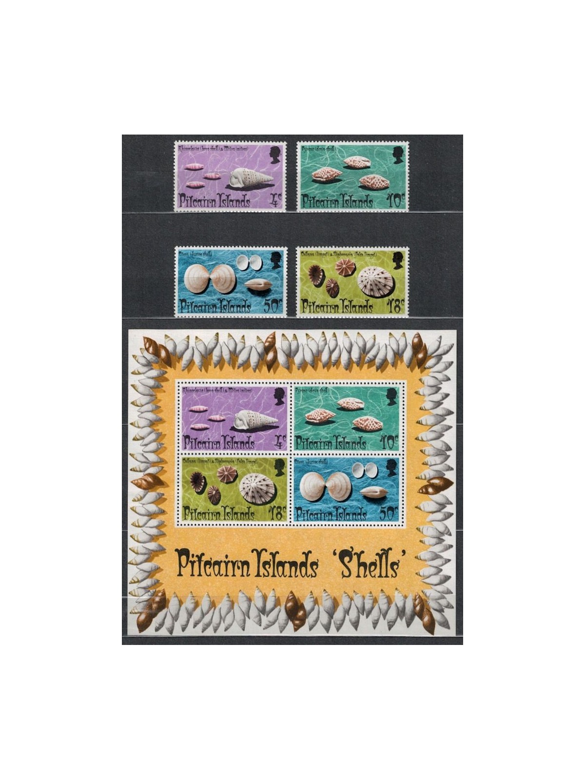 PITCAIRN 1974 Fauna marina, conchiglie 4v + 1 BF MNH**