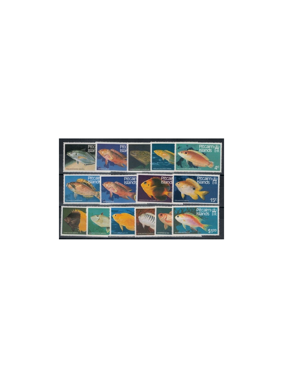 PITCAIRN 1984 Fauna marina, pesci 13v MNH**