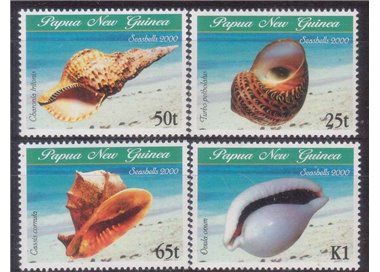 PAPUA NEW GUINEA 2000 Shells 4v MNH**