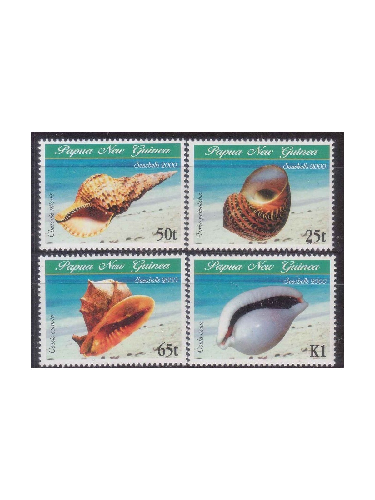 PAPUA NEW GUINEA 2000 Shells 4v MNH**