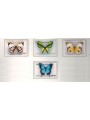 PAPUA NEW GUINEA 2006 Butterflies - Butterflies 4v MNH**