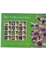 PAPUA NUOVA GUINEA 2007 Annata Completa 42v + 10 BF MNH**