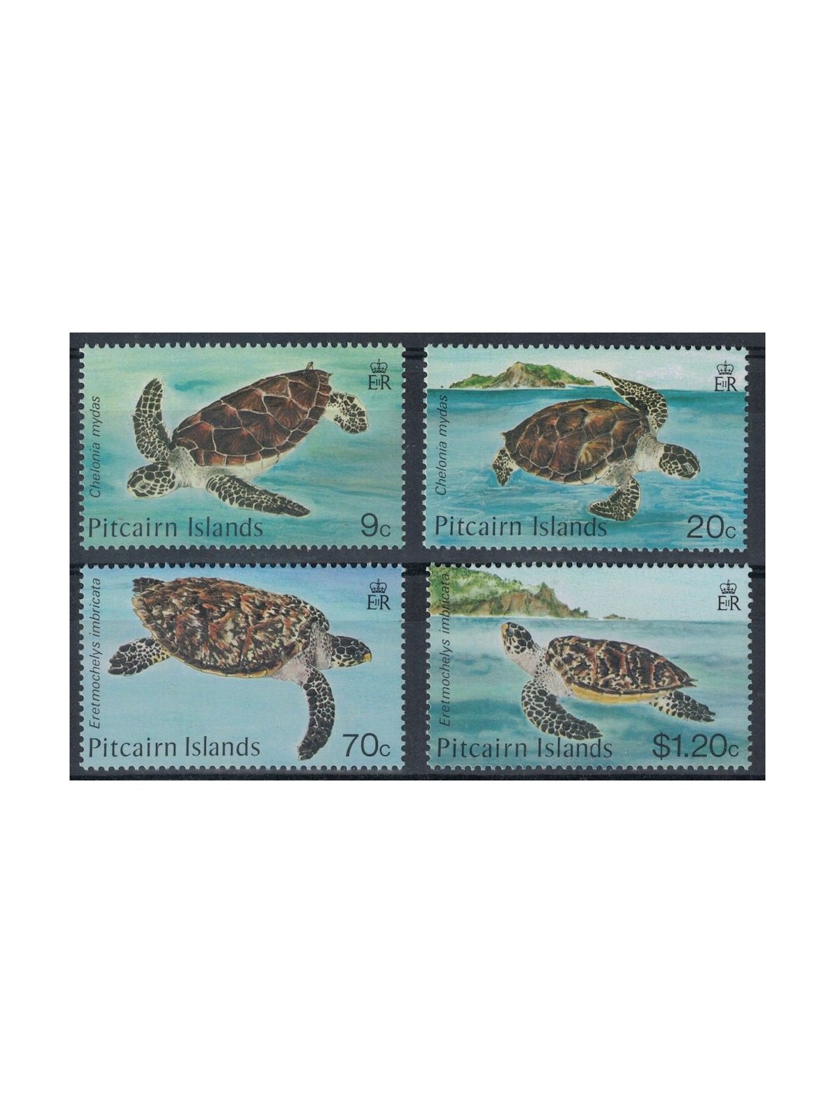PITCAIRN 1986 Marine fauna, turtles 4v MNH**