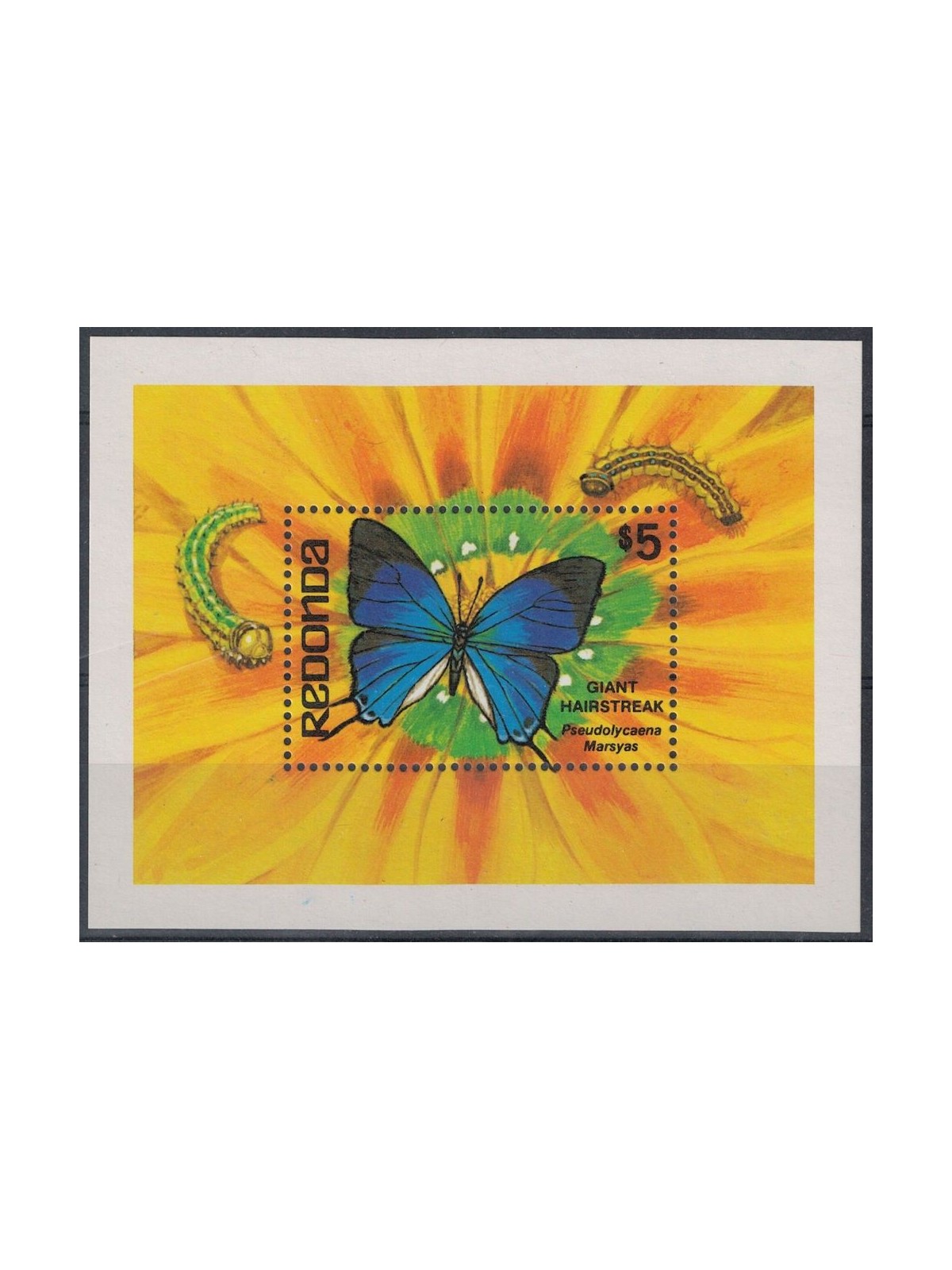 REDONDA 1982 Fauna, farfalle BF MNH**