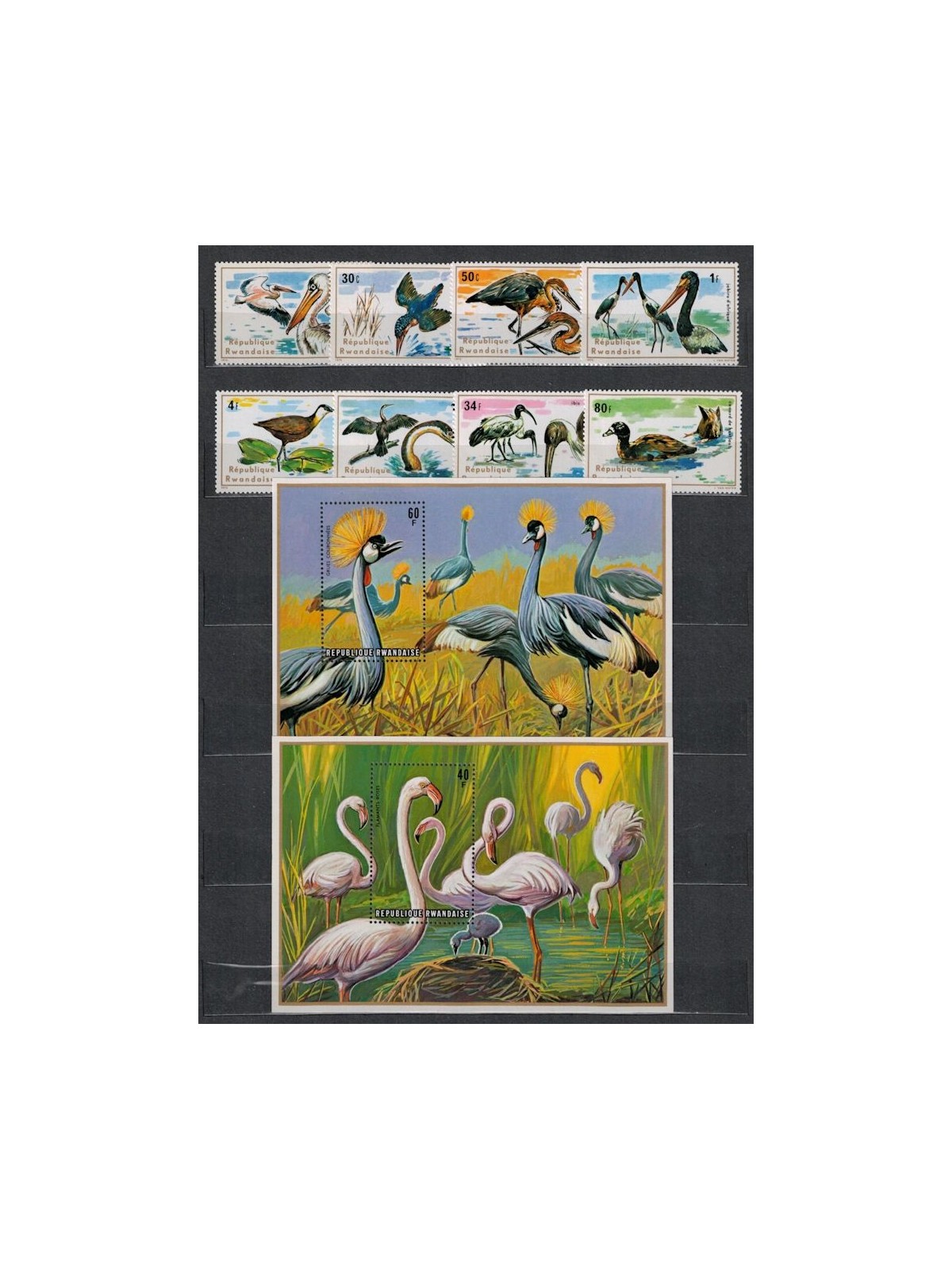 RUANDA 1975 Uccelli acquatici 8v + 2 BF MNH**