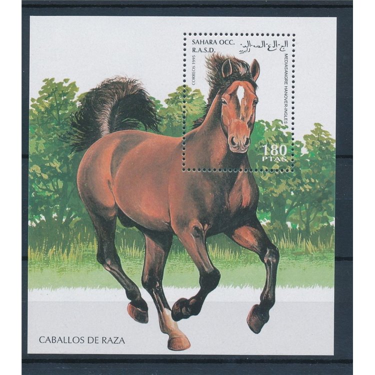 WESTERN SAHARA 1995 Horses - Miniature Sheet Block MNH**