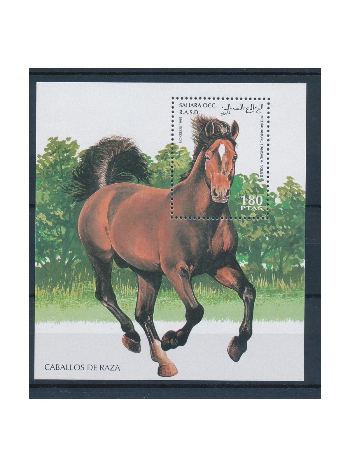 WESTERN SAHARA 1995 Horses - Miniature Sheet Block MNH**