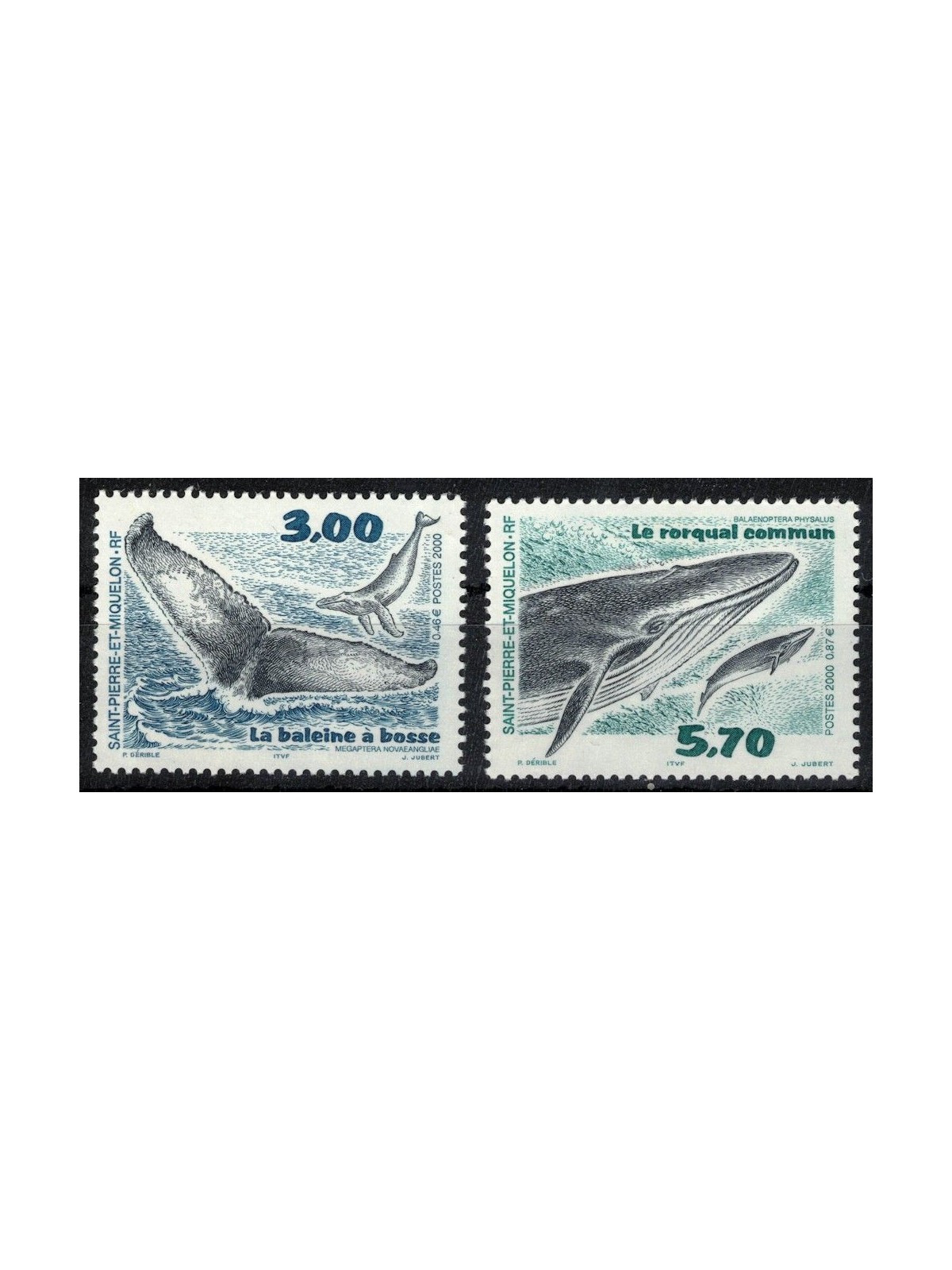 SAINT PIERRE E MIQUELON 2000 Fauna (cetacei) 2v MNH**