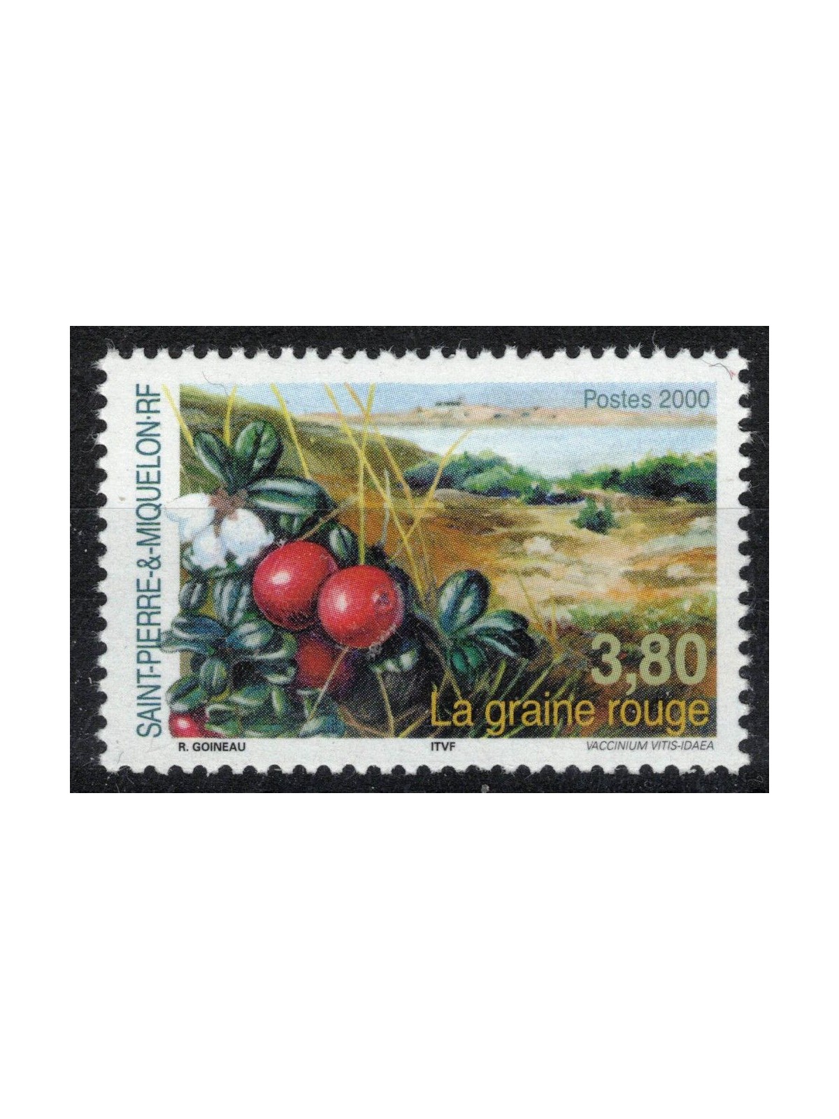SAINT PIERRE E MIQUELON 2000 Il mirtillo rosso MNH**