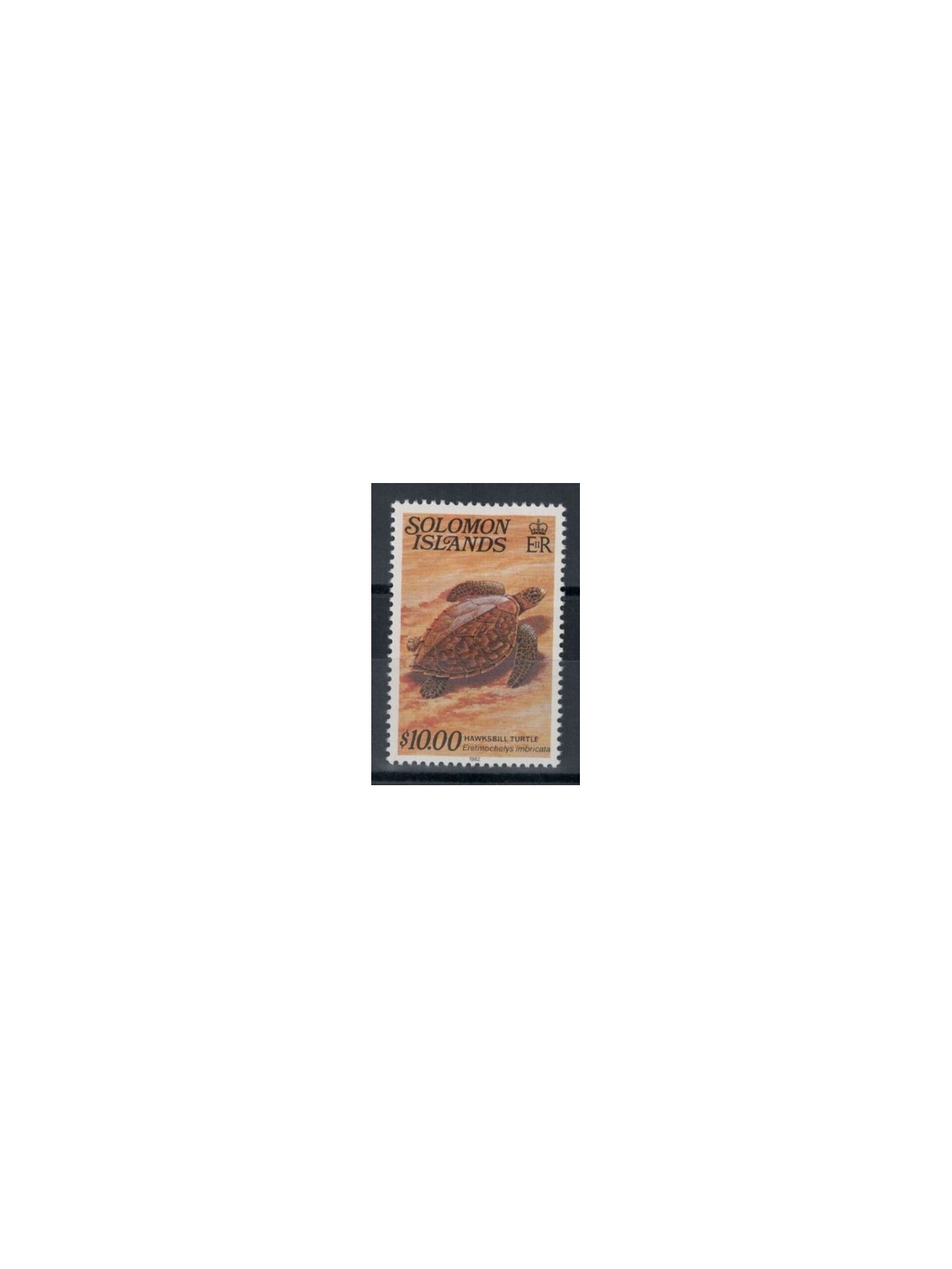 SOLOMON 1982 Serie ordinaria, Tartaruga MNH**