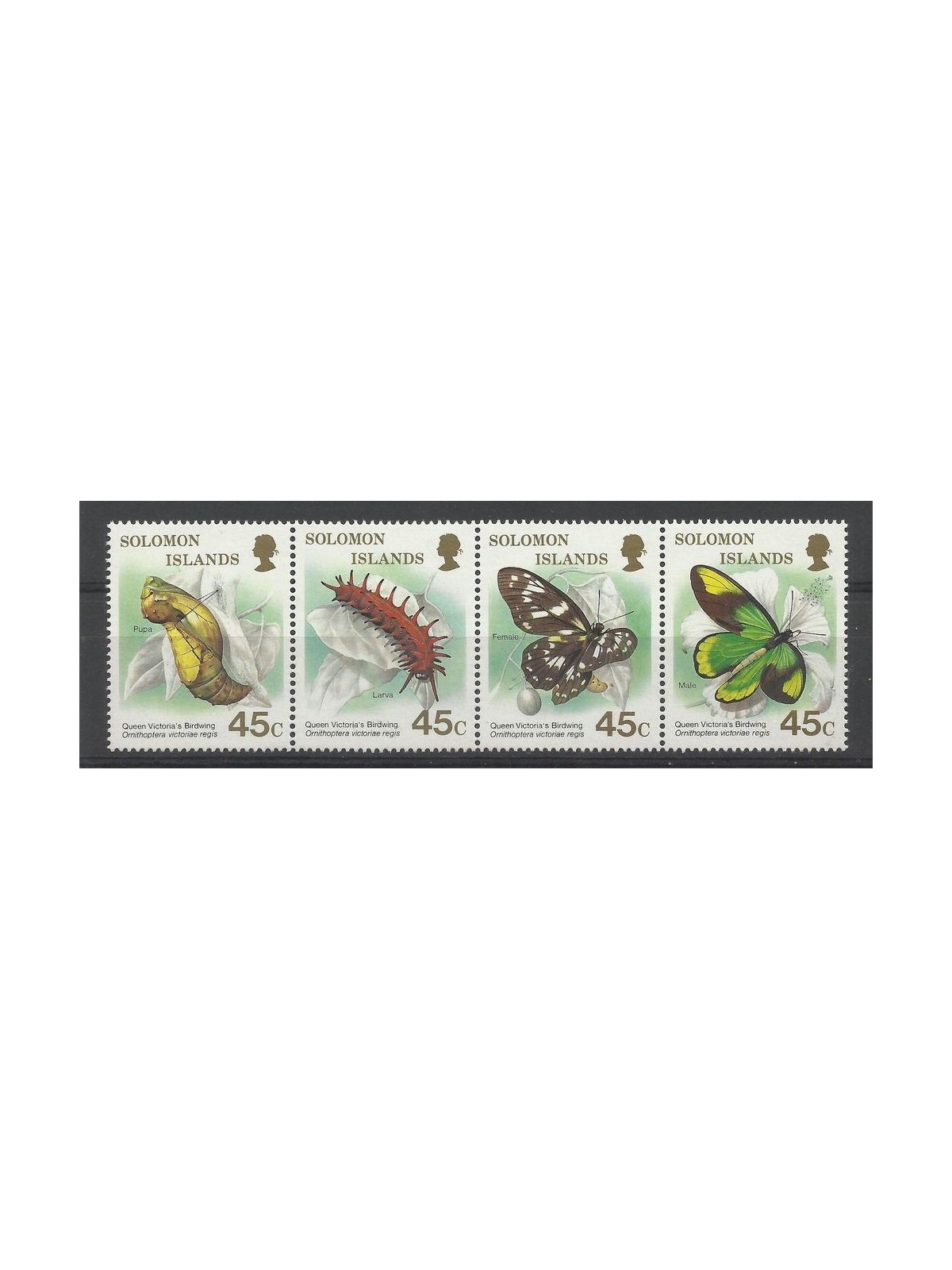 SOLOMON 1987 Butterflies 4v MNH**