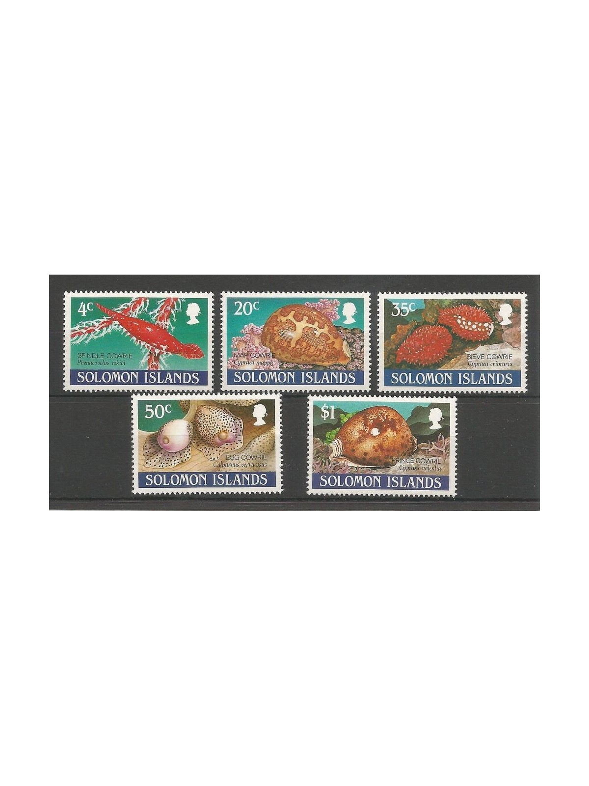 SOLOMON 1990 Snails, slugs 5v MNH**