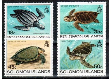 SOLOMON 1983 Turtles 4v MNH**