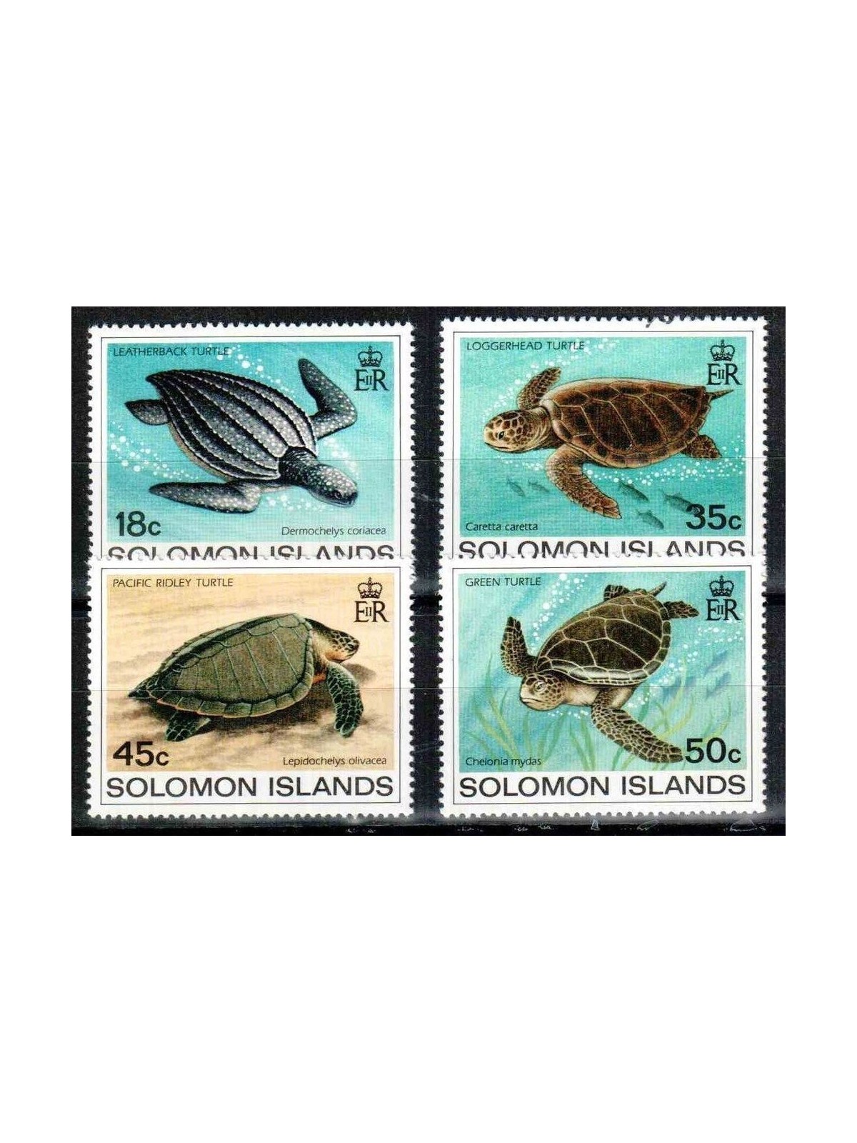 SOLOMON 1983 Turtles 4v MNH**